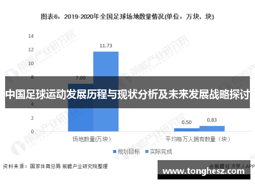 中国足球运动发展历程与现状分析及未来发展战略探讨